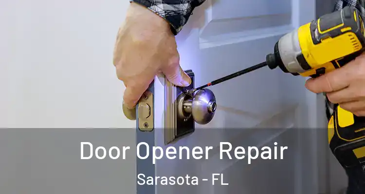 Door Opener Repair Sarasota - FL