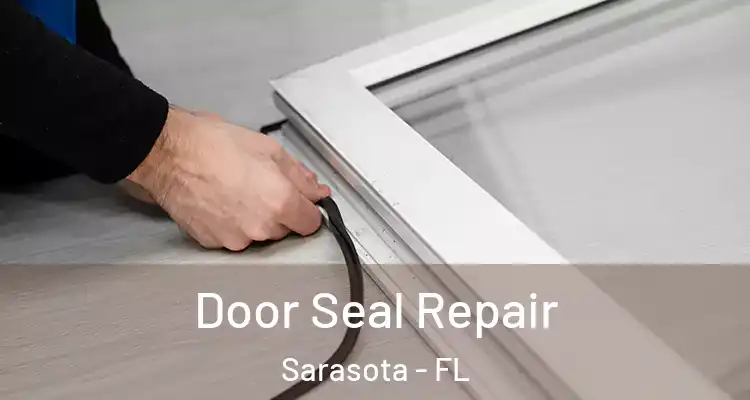  Door Seal Repair Sarasota - FL