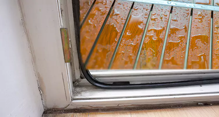 Water Leaking Wooden Patio Doors Repair in Sarasota, FL